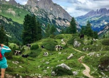 Marre de la propagande pseudo féministe même dans le trail