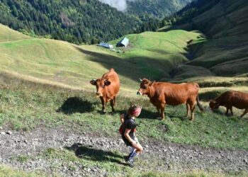 arrêt trail d'albertville