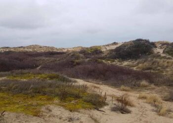 trail des deux baies