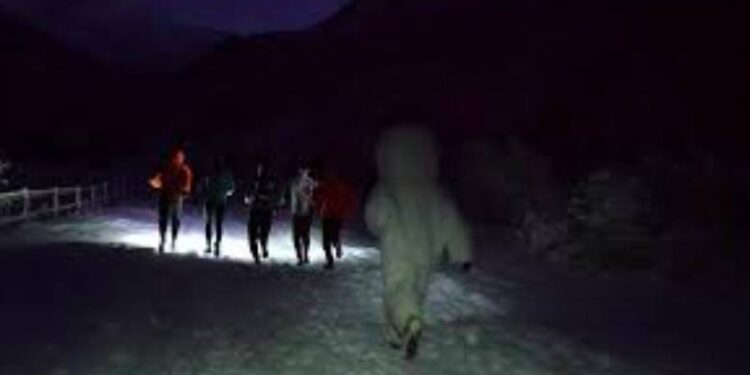 Toute l’actualité trail du jeudi 31 janvier