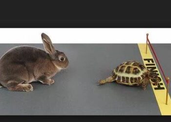 Le pacing en trail : pour mieux courir et plus longtemps