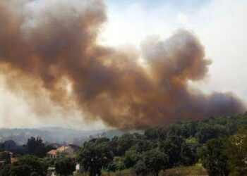 Toute l’actualité trail du lundi 25 février