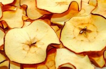 Pensez aux fruits déshydratés