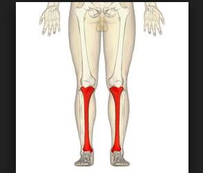 Trail : mal au tibia, pourquoi ?