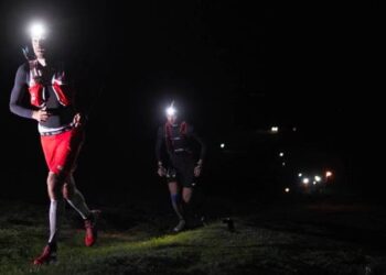 entorse cheville françois d haene