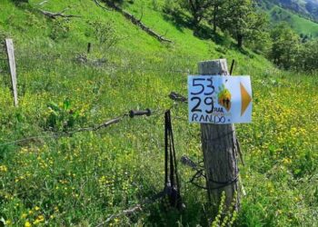 résultat trail Montan'aspe 2019