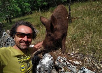 Var Verdon Canyon Challenge : ils ont croisé des sangliers !