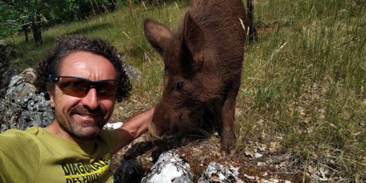 Var Verdon Canyon Challenge : ils ont croisé des sangliers !