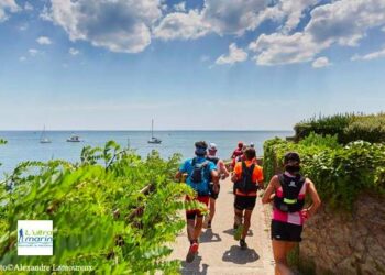 suivi en direct ultramarin 2019