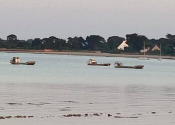 chaussures ultra marin