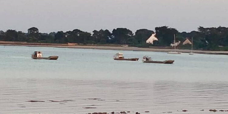 chaussures ultra marin