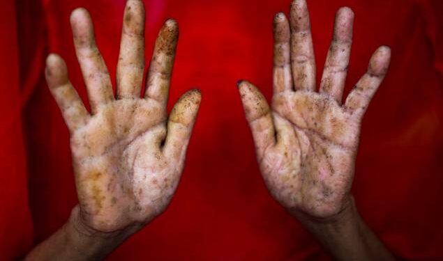 Toute l’actualité trail du vendredi 5 juillet