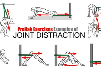 Les étirements articulaires