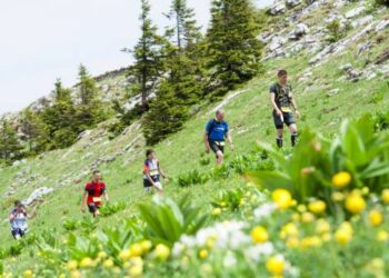 Toute l’actualité trail du jeudi 8 août