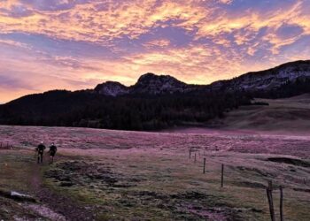 Toute l’actualité trail du lundi 7 octobre