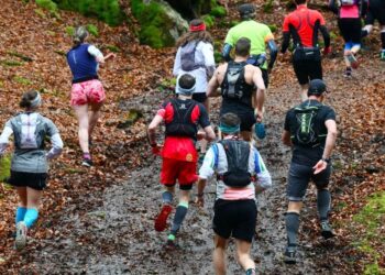 Toute l’actualité trail du 4 novembre