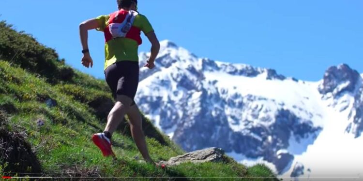 Toute l’actualité trail du vendredi 15 novembre