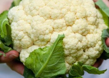 « Chéri j’en ai marre de ton trou de balle en chou-fleur »