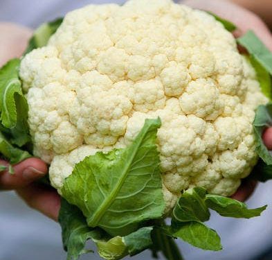 « Chéri j’en ai marre de ton trou de balle en chou-fleur »
