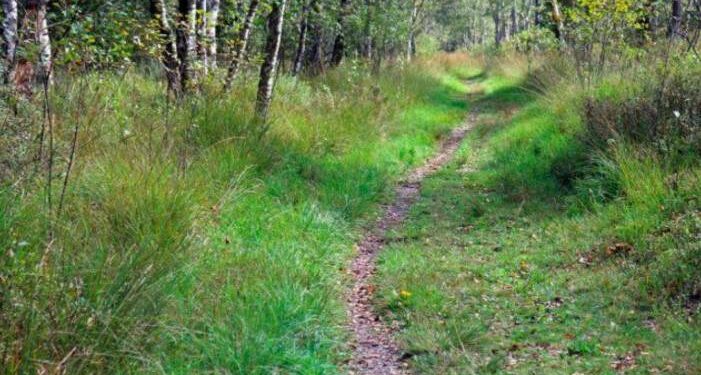 trail ou course nature