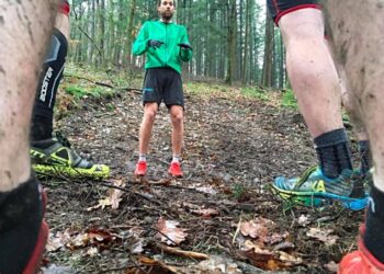 stage françois d 'haene