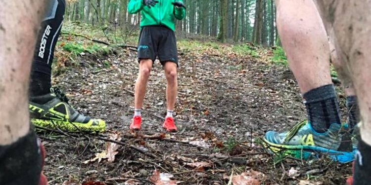 stage françois d 'haene