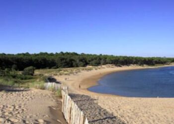 Quelle chaussure de trail pour courir en Vendée