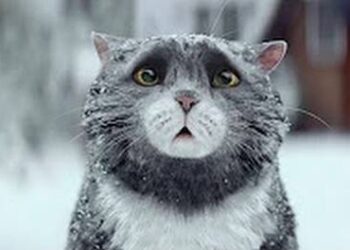 D’haene trop grand, Jornet trop maigre, Thevenard trop petit