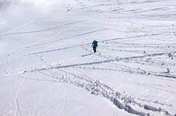 François D’Haene, Kilian Jornet, Xavier Thévenard et Pau Cappell : comment ils s’entrainent en hiver