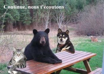 Facebook : quand tu vois quelqu’un poster le même message sur 14 groupes différents