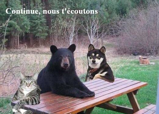 Facebook : quand tu vois quelqu’un poster le même message sur 14 groupes différents