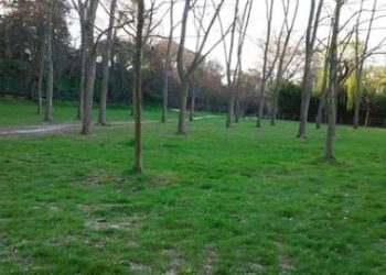 Vous me faites halluciner !