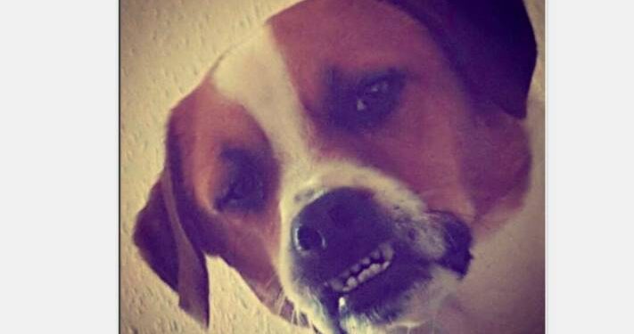 Les moralisateurs qui veulent vous empêcher de courir sont des cons