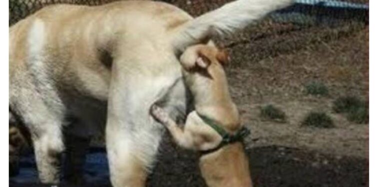 déconfinement trail