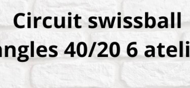 Circuit swissball / sangles