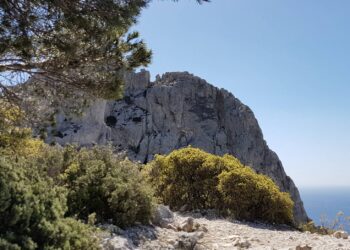 trail déconfinement