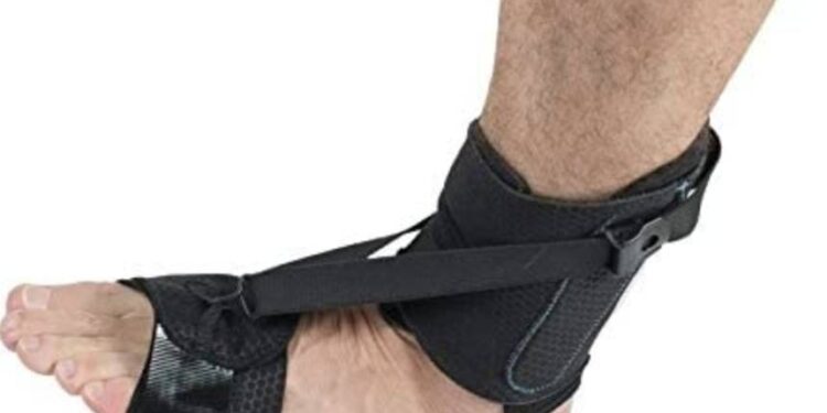 muscles releveurs du pied