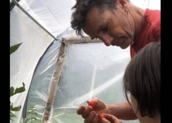 sébastien chaigneau