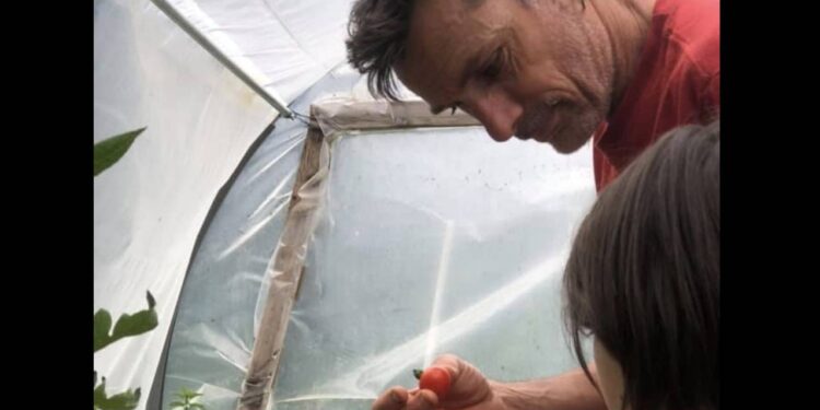 sébastien chaigneau