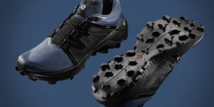 Chaussure de trail Salomon Wildcross Gore-Tex