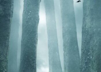 Toute l’actualité trail du vendredi 9 octobre