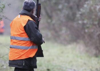 chasse reconfinement