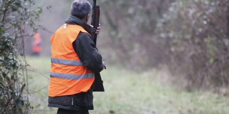 chasse reconfinement