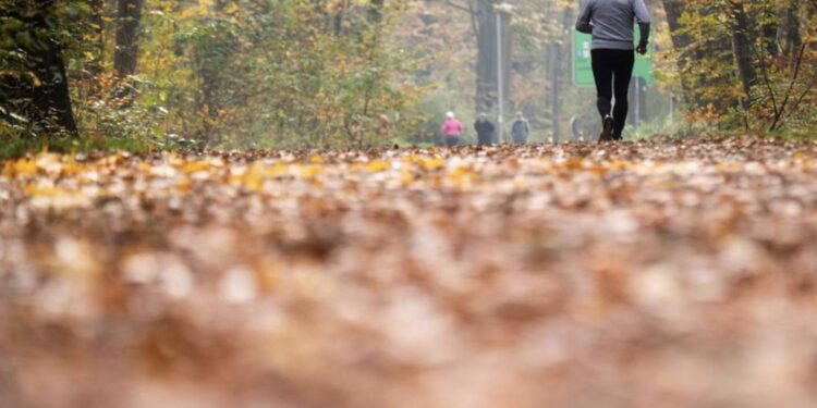 Rayon d’un kilomètre : pour ceux qui n’ont toujours pas compris