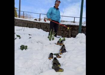 xavier thevenard fait le malin