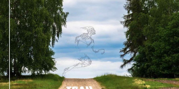 Trail du Grand Sénonais