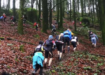 trail du loup blanc
