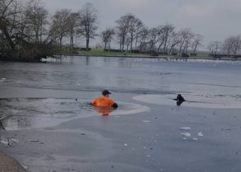 un joggueur sauve un chien