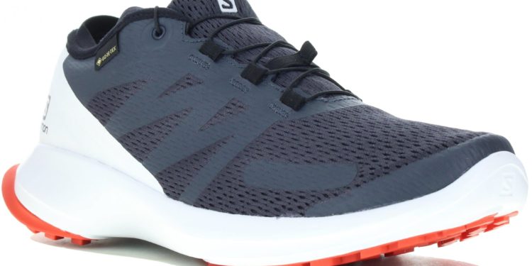 Salomon Sense Flow Gore-Tex