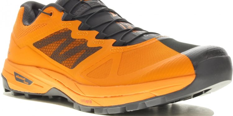 Salomon X Alpine Pro